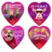 Assorted Chocolates Humor Memes Heart Box
