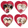 Assorted Chocolates Puppy Heart Box