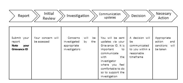 Summary Procedure of Speak Up Report